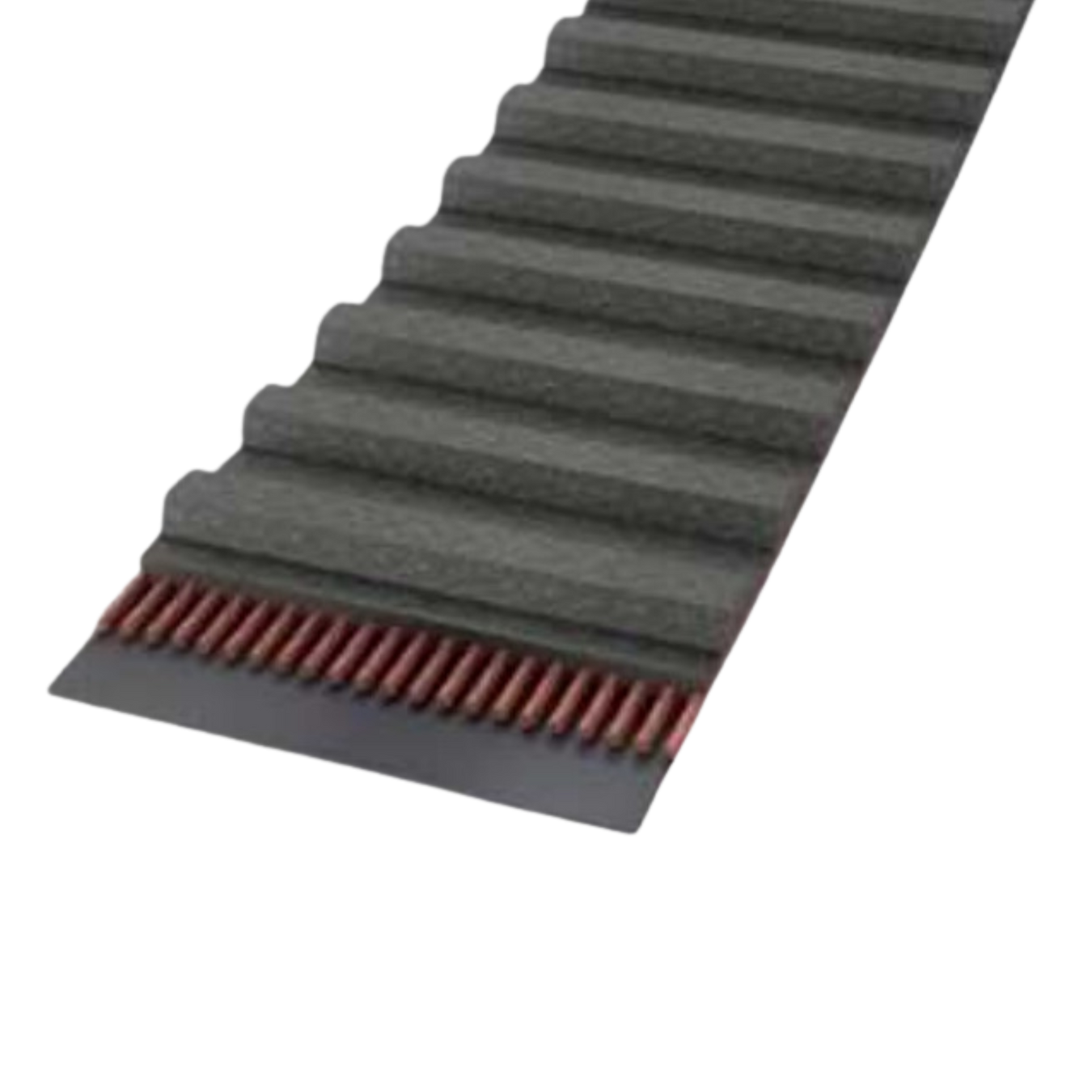 MXL Timing Belts 0.08"
