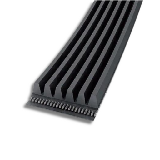 PL 1562  L615
